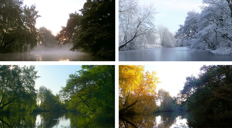 A Season For Everything