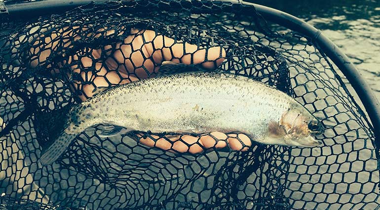 The Best Fishing Holes