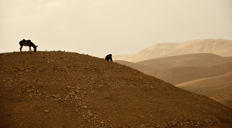 Desert Places