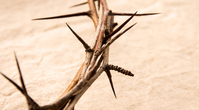 Lessons in Suffering
