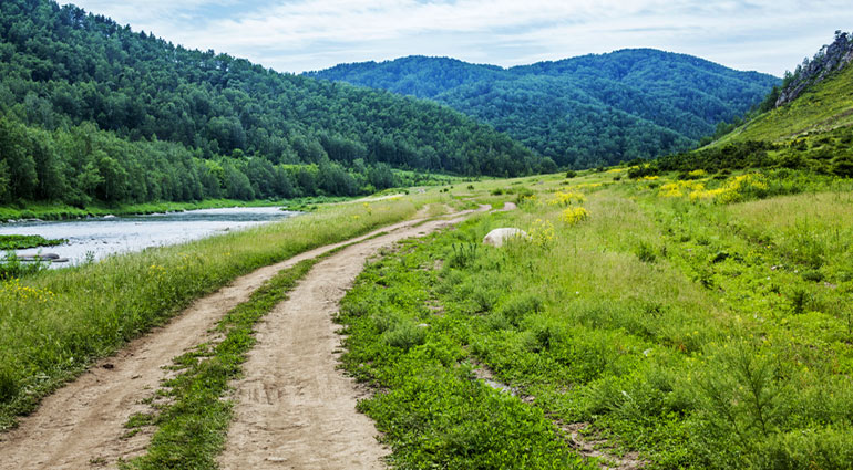 The Rugged Road