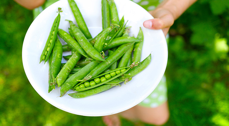 No Peas!