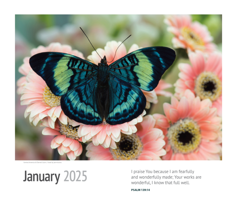 2025 Calendar Our Daily Bread Ministries Canada