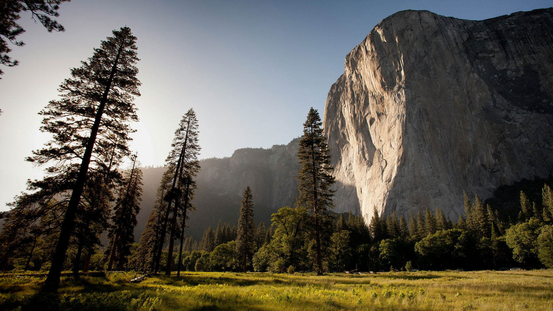 mountain and trees