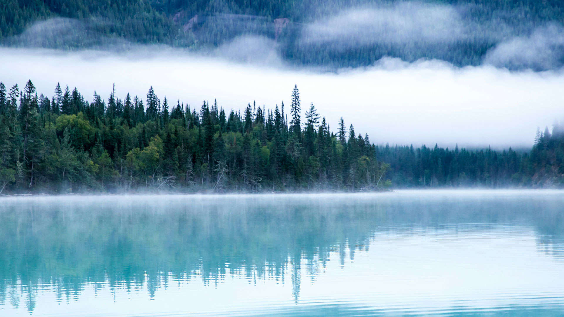 foggy lake