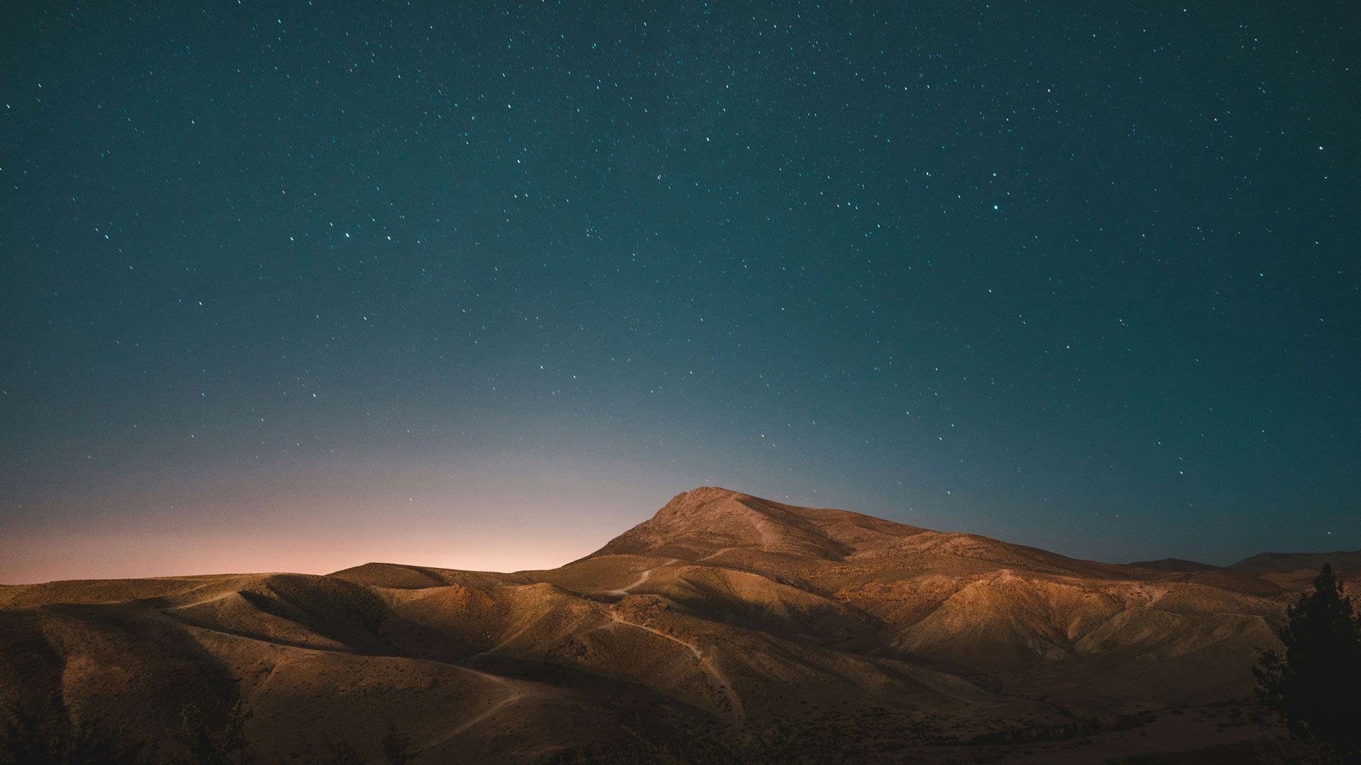 starry desert night