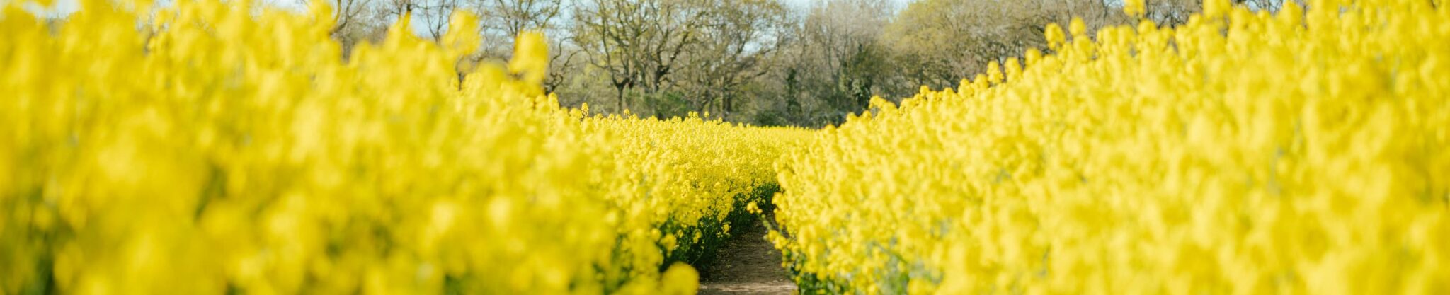 Videos Archive Our Daily Bread Ministries Canada