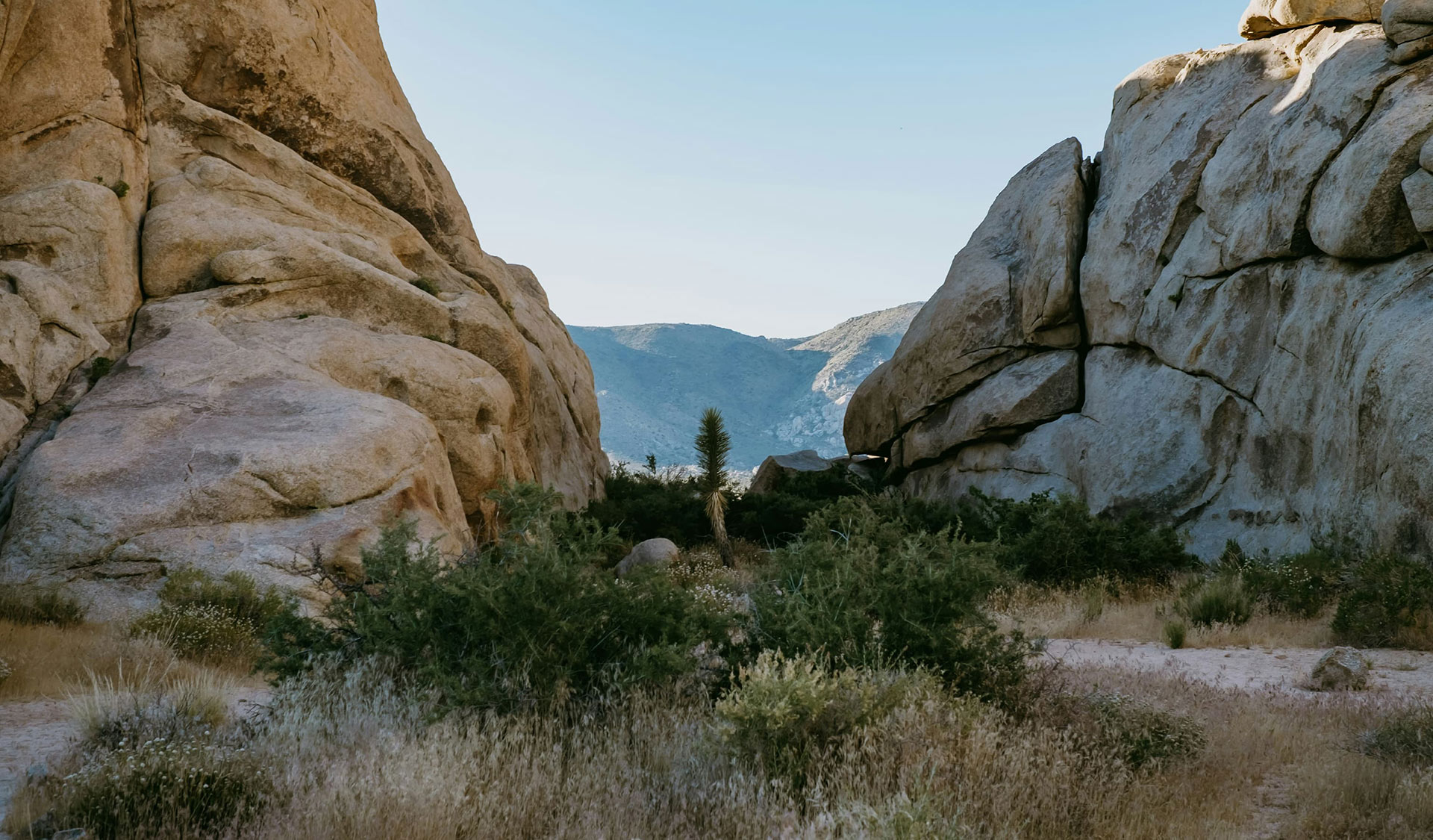 Clinging to God’s Promises