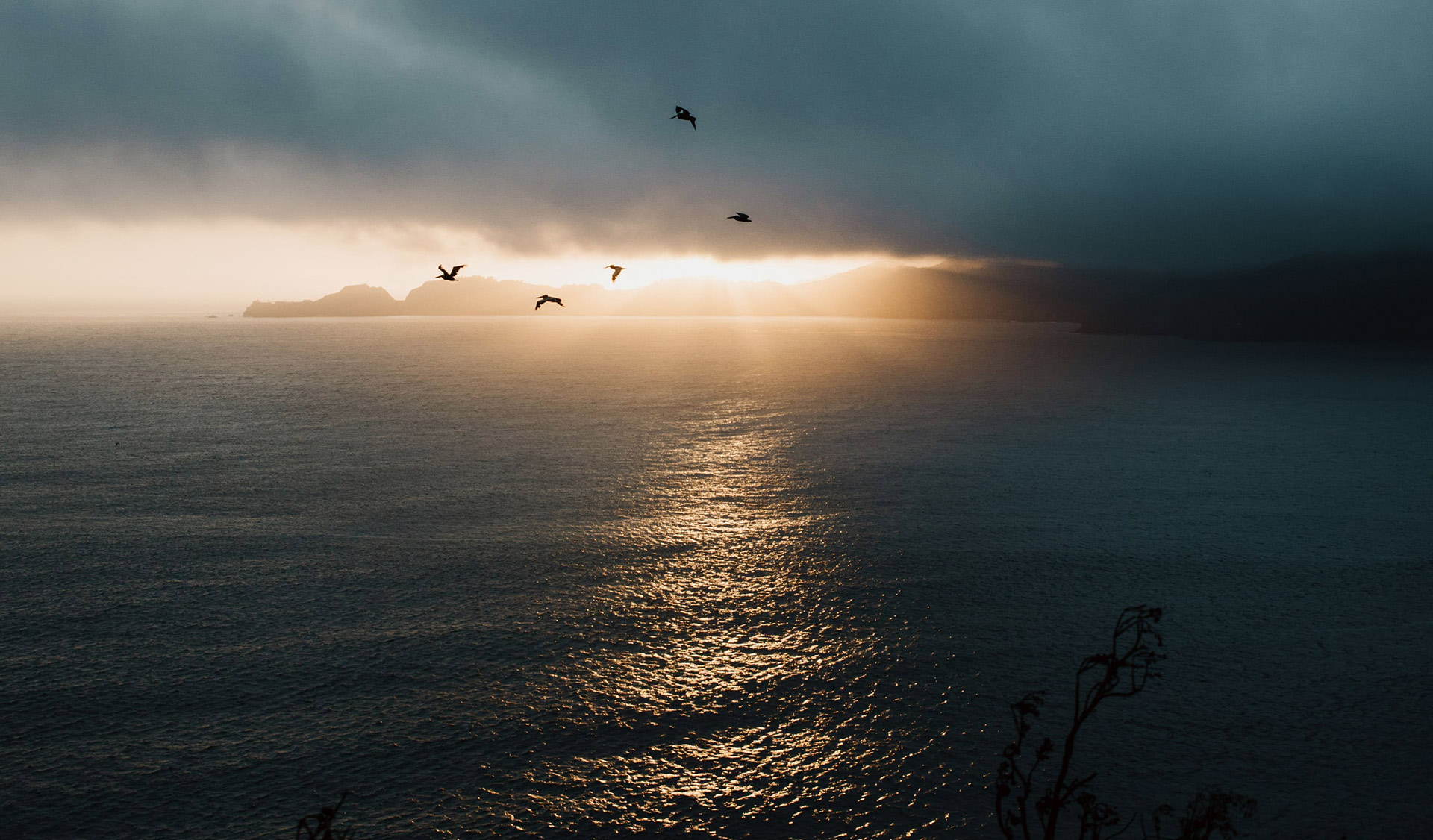 A Migrating Savior