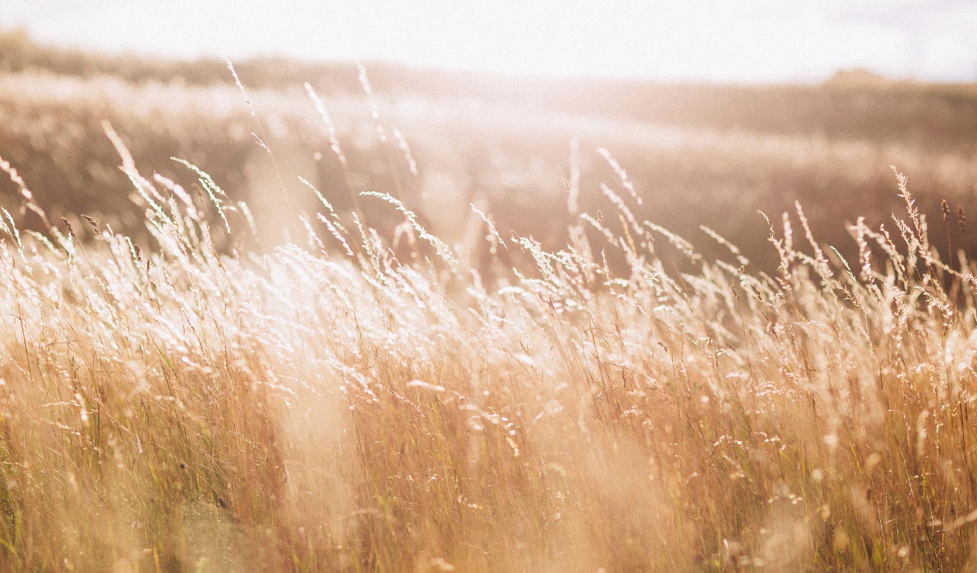 Walking in Christ’s Light