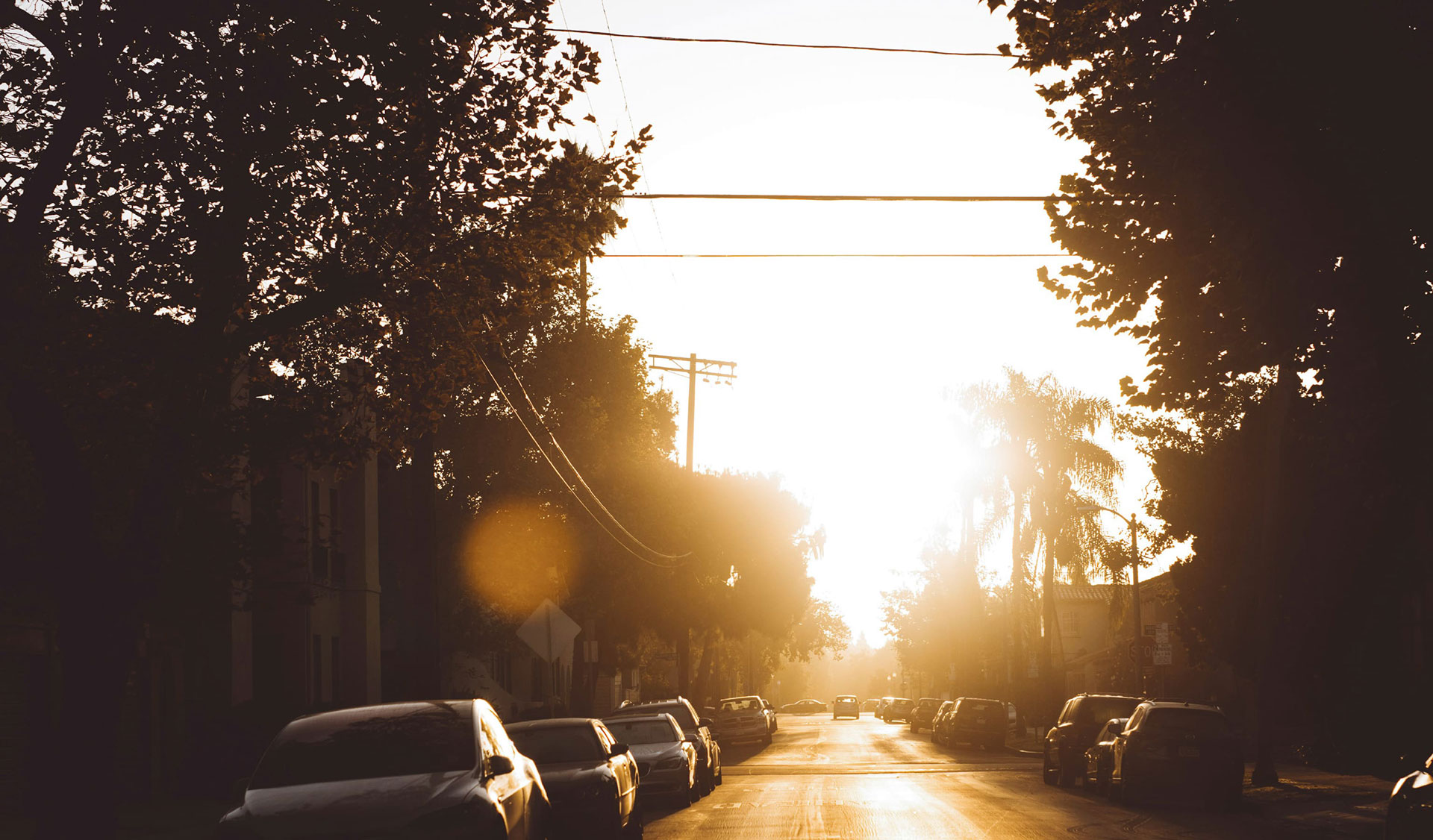 A Tribute and Reminder