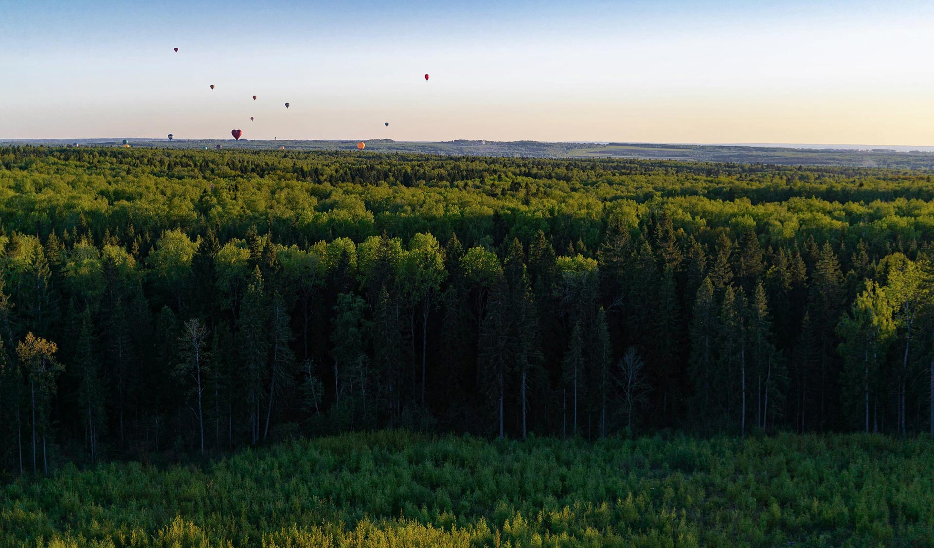 The Paradox of Persecution