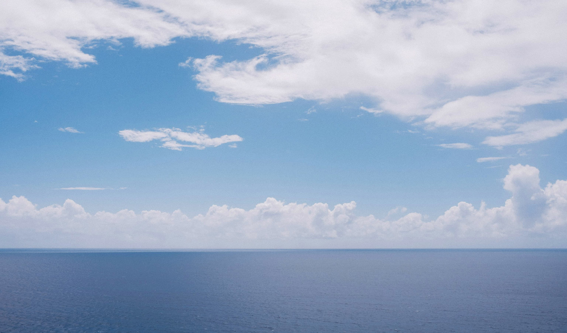 Working Together in Christ