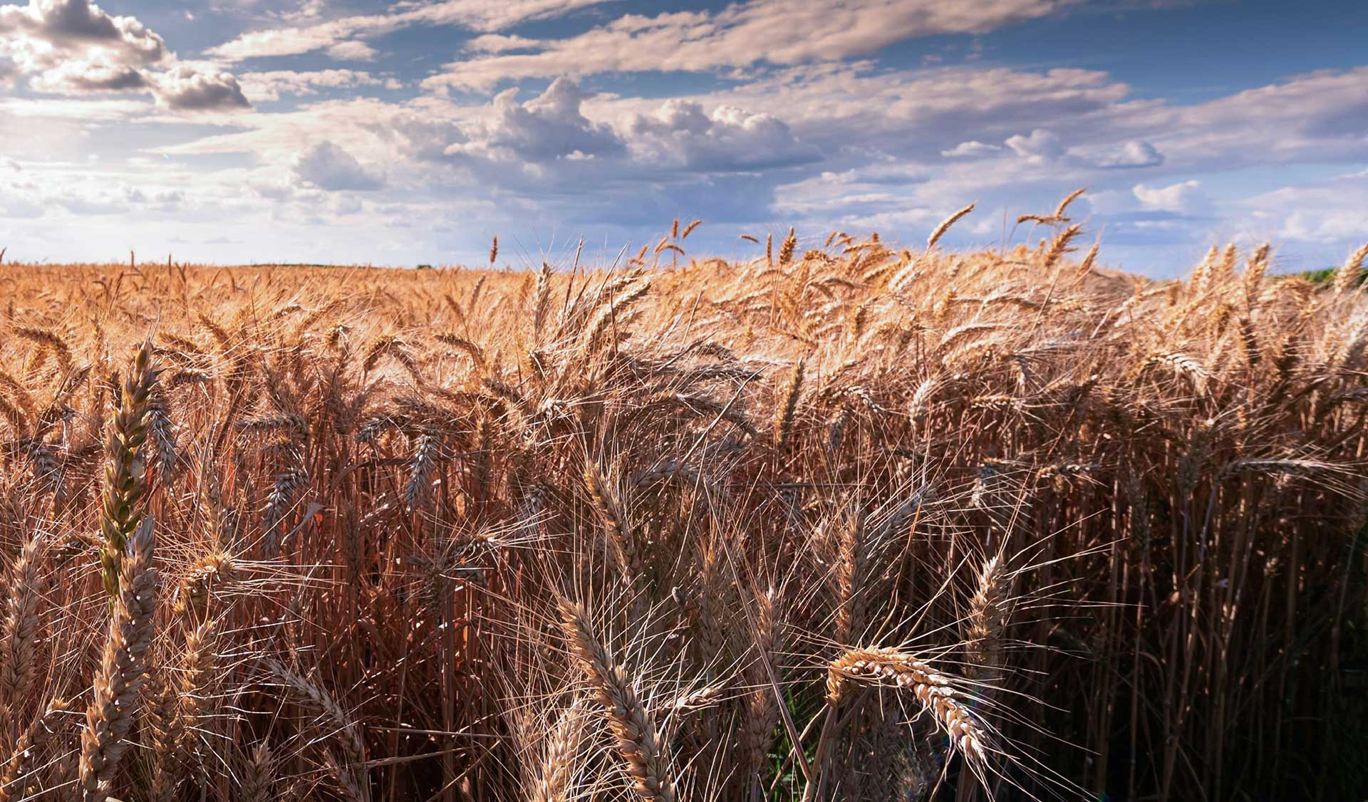 Continual Praise to God