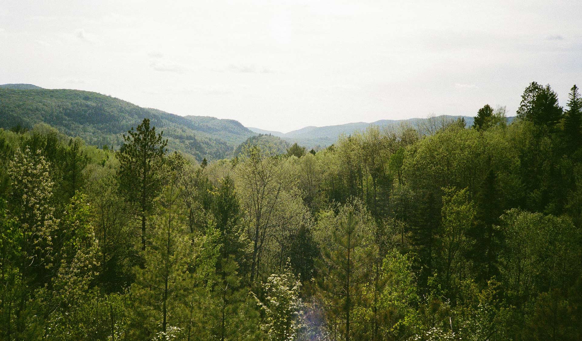 Treasured Possession