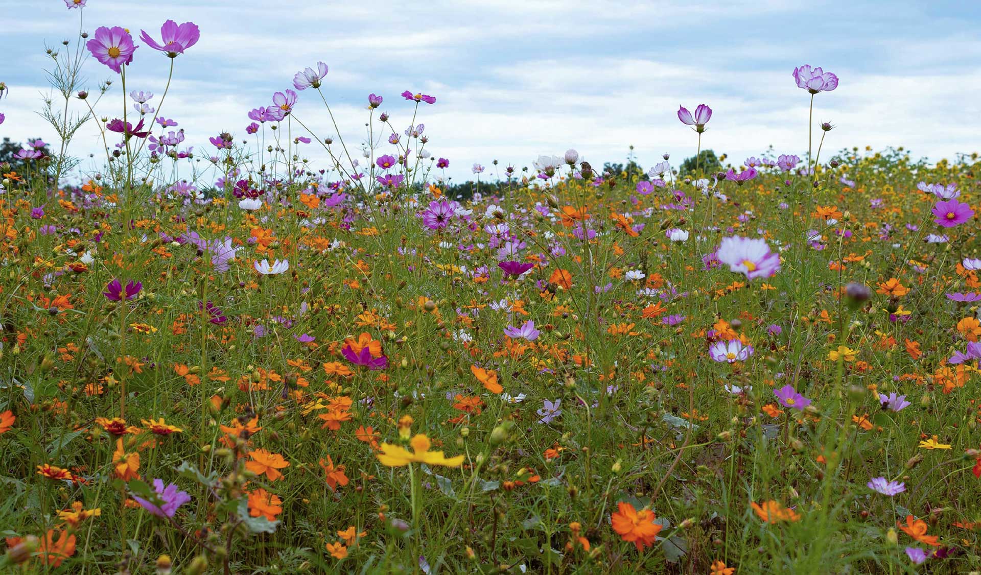 God’s Sufficient Grace