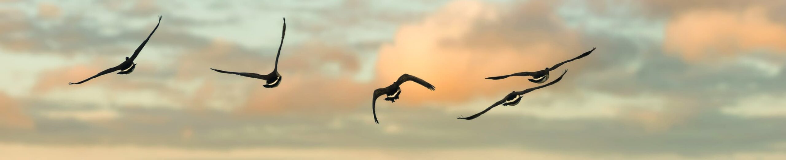 Don’t Do This Alone