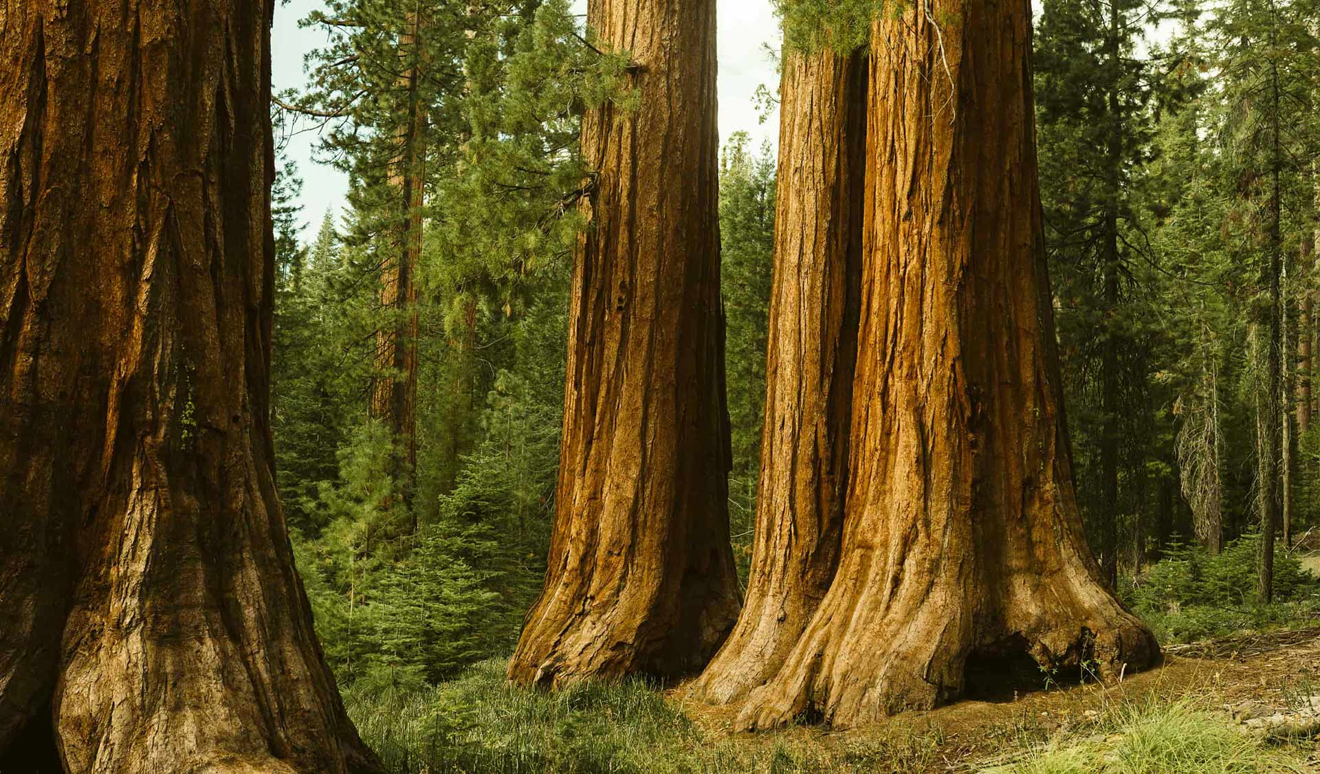 Believing More Than We See