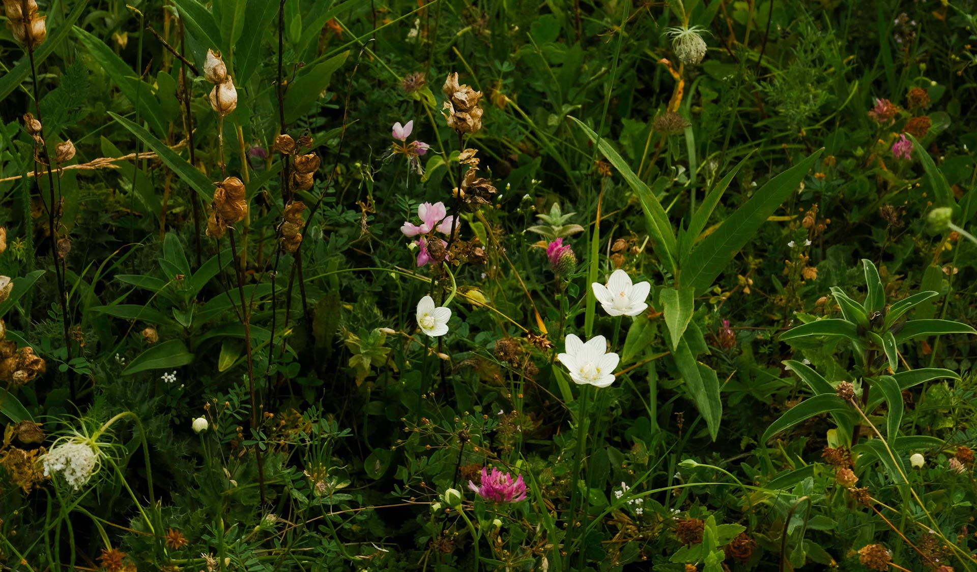 Hospitable Generosity