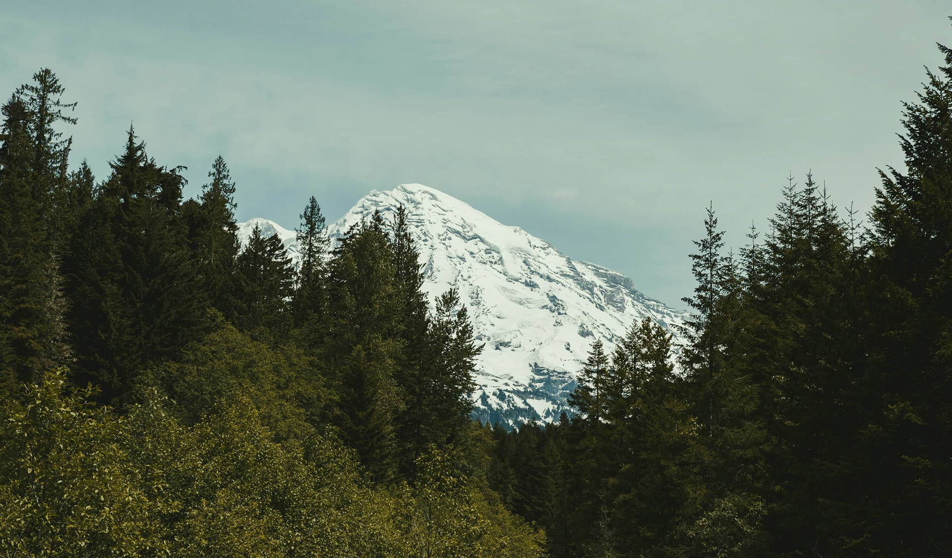 Joy and Strength in God