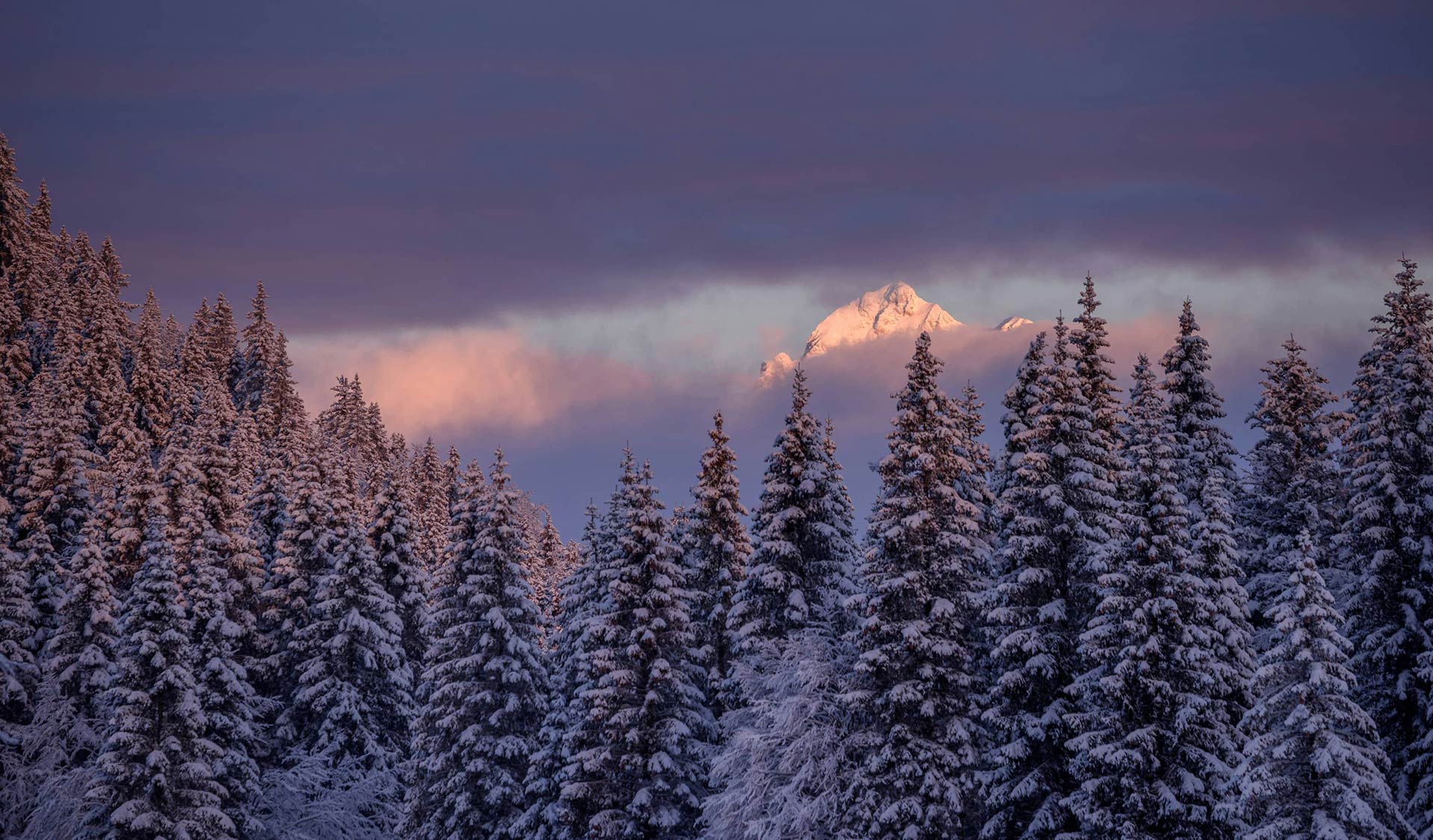 From Fright to Delight