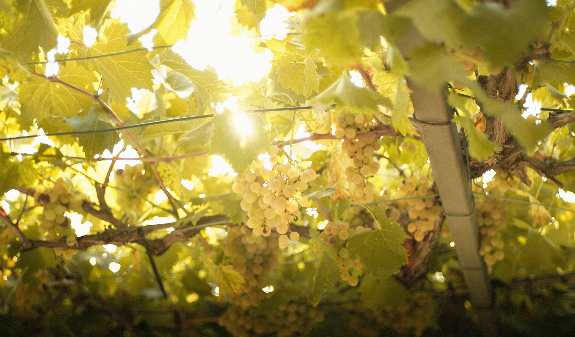 Resolving to Do Less