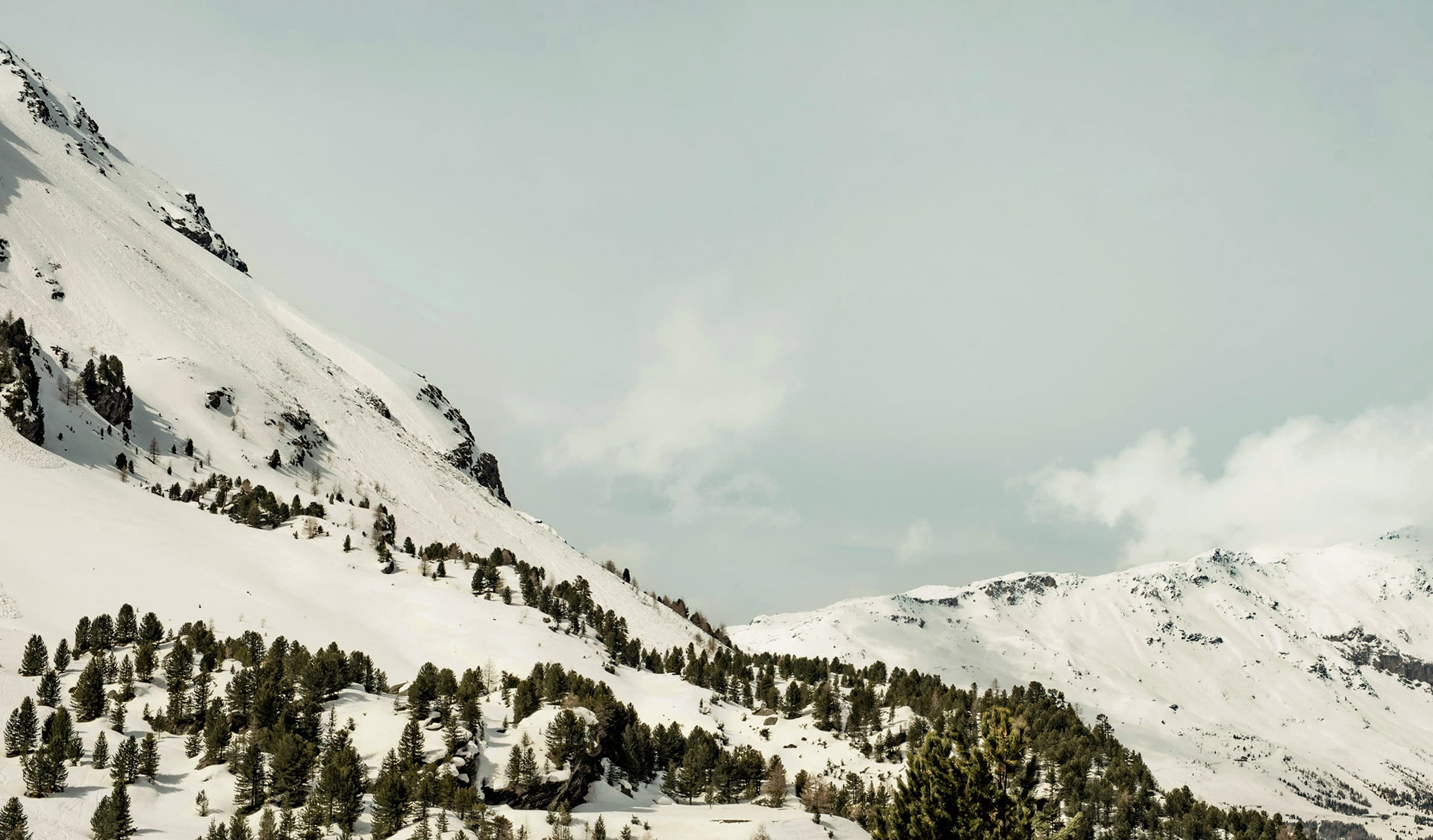 Can We Live Forever?