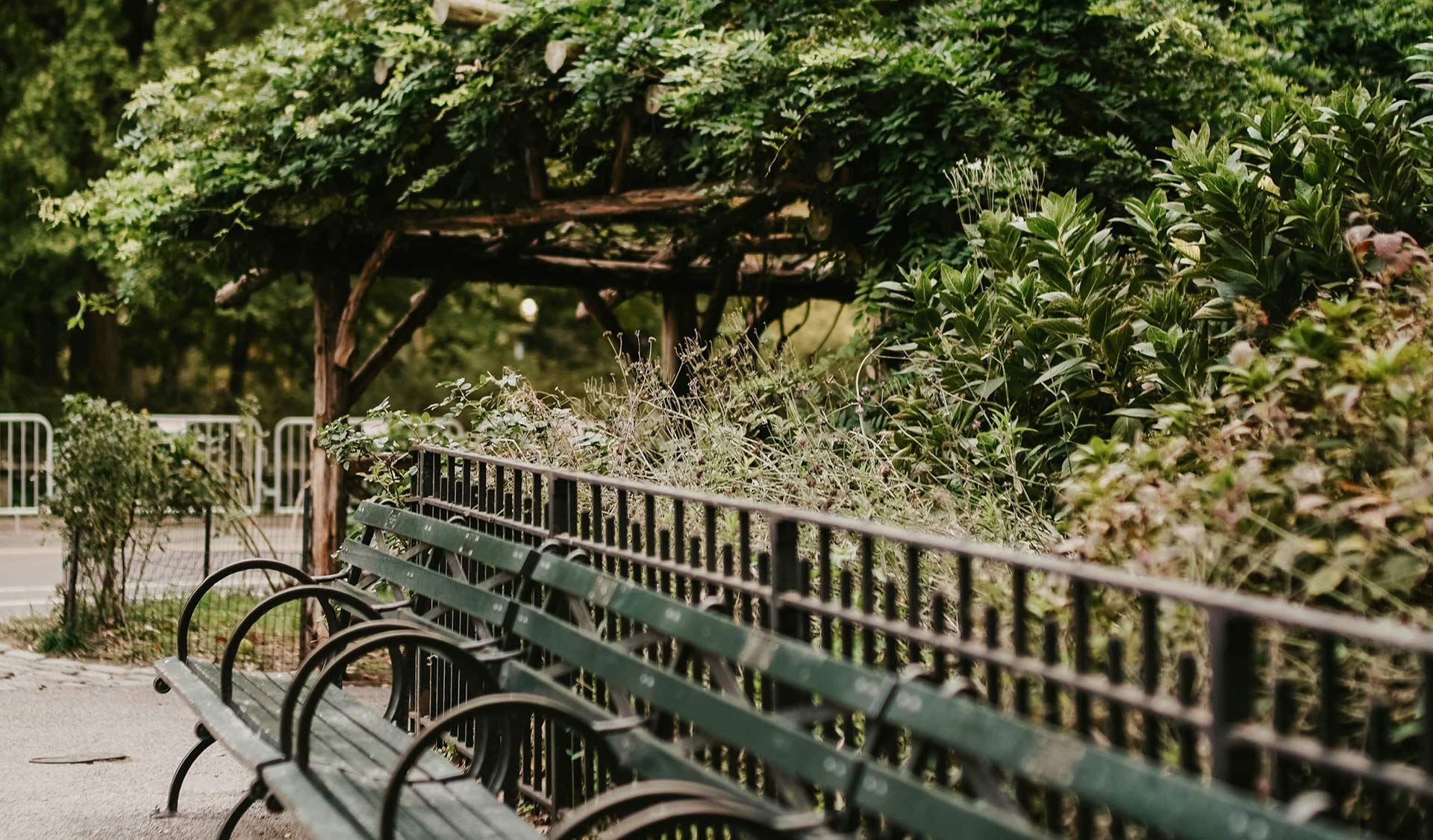 The Friendship Bench