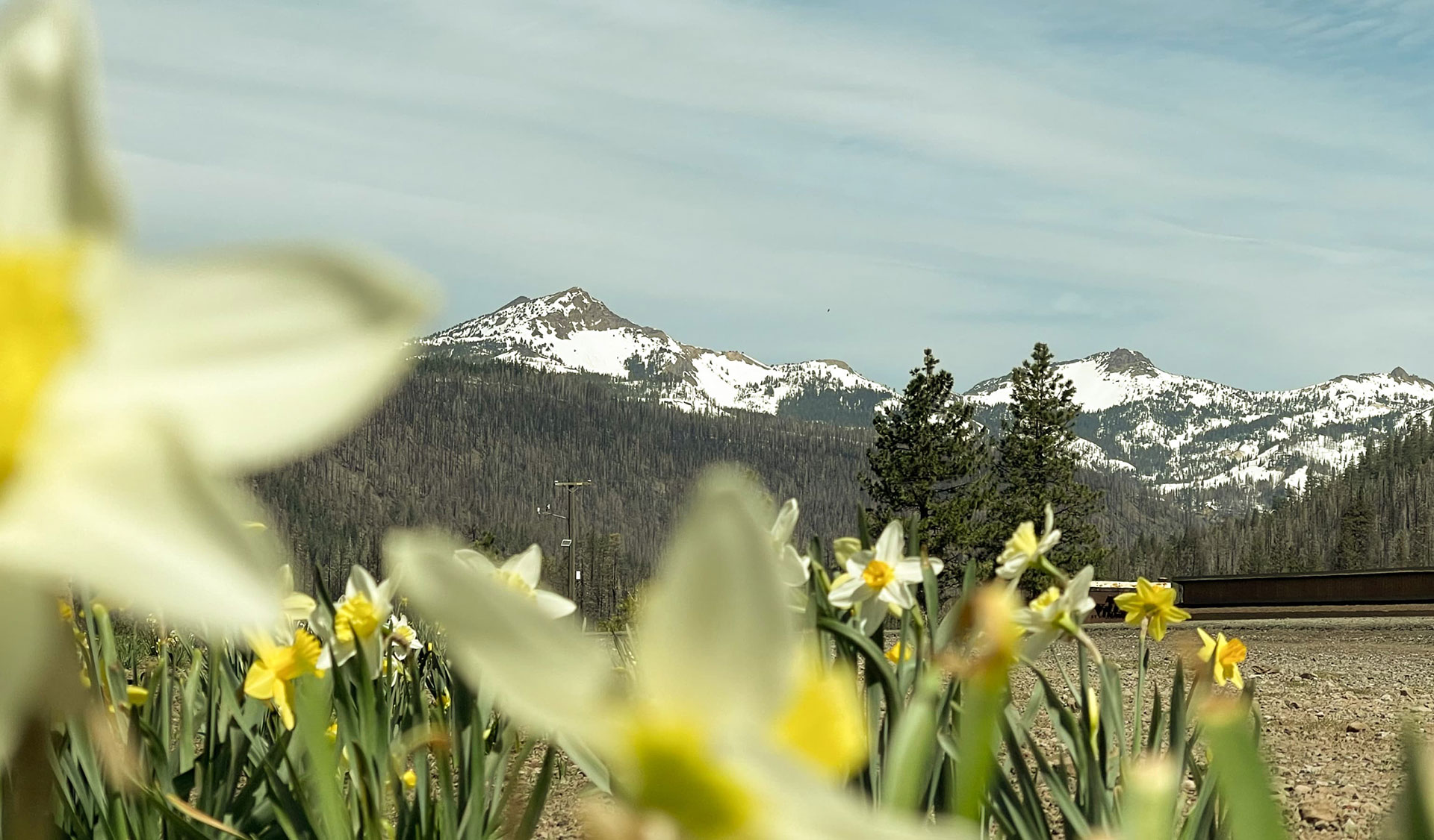 God’s Beautiful Creation