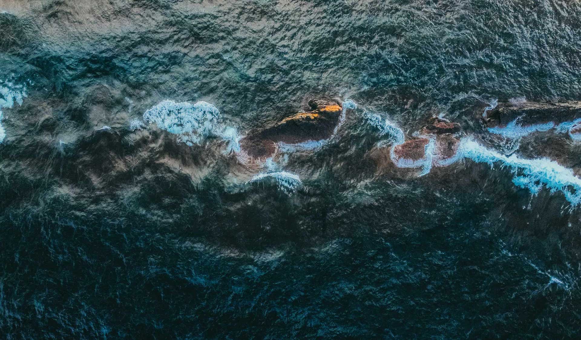 Survivors by God’s Mercy