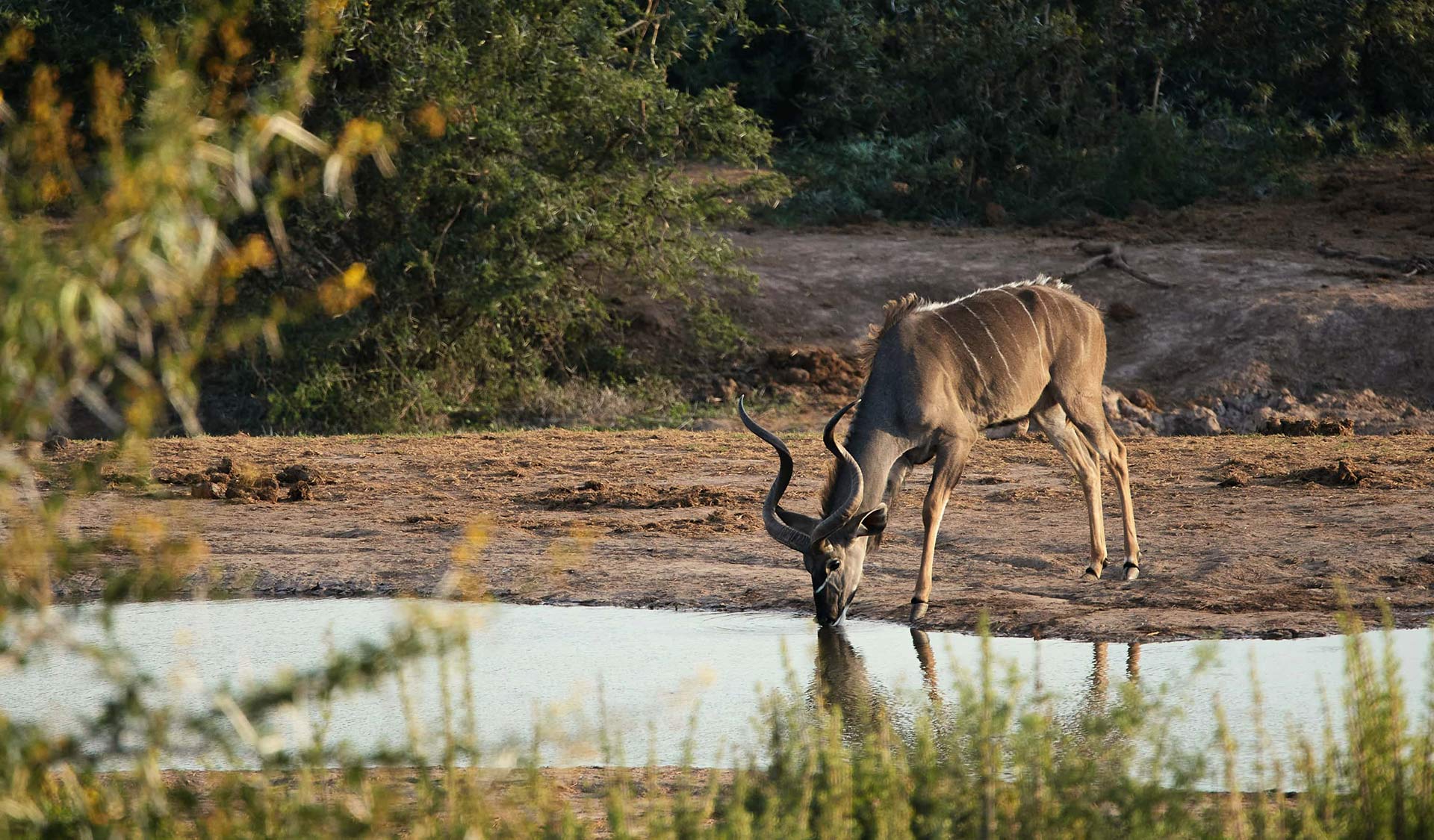 Standing Strong in Christ