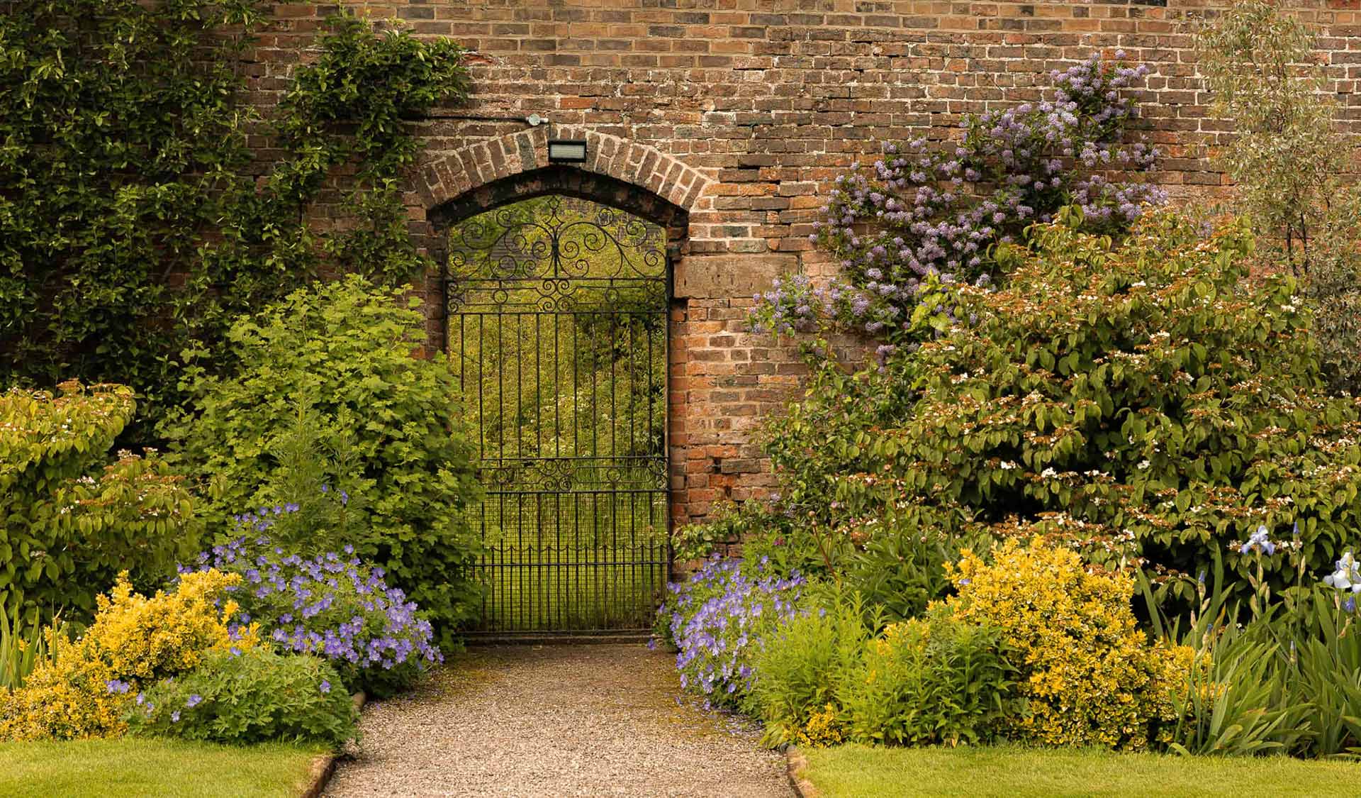 Following Jesus in Humility