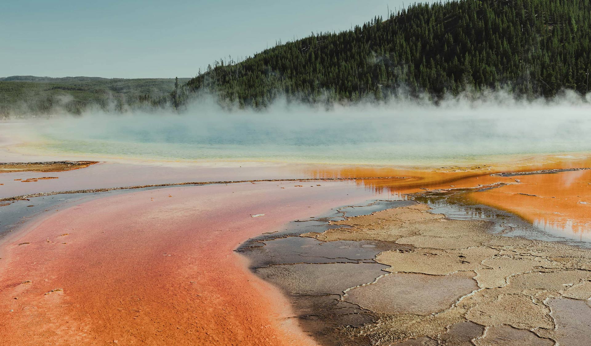 Fountains or Drains?