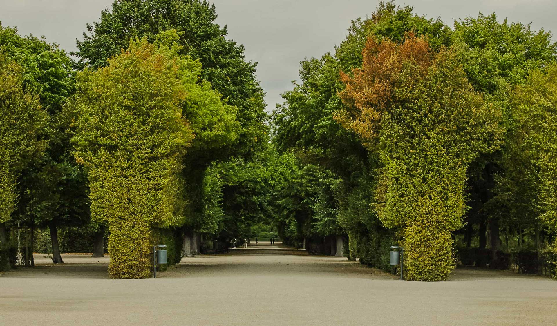 God’s Eternally Beloved