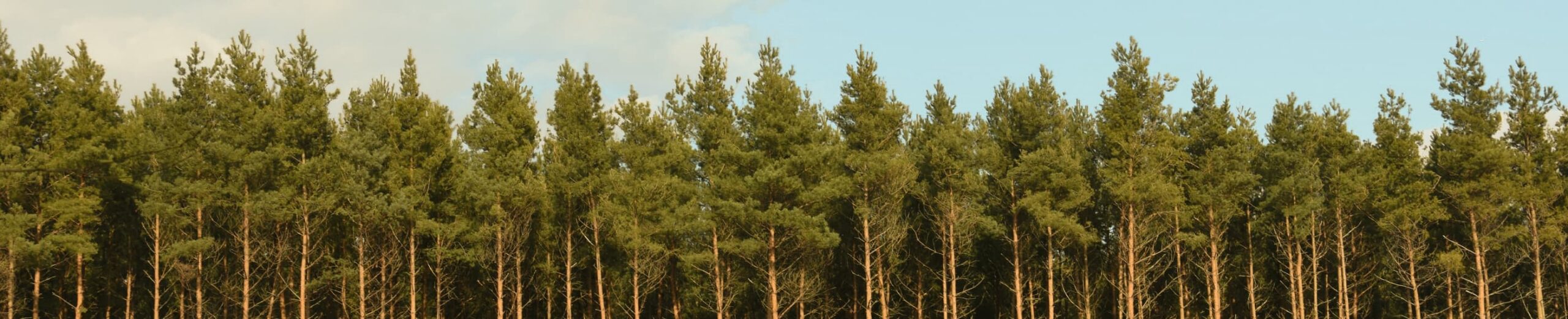 Praying God’s Promises