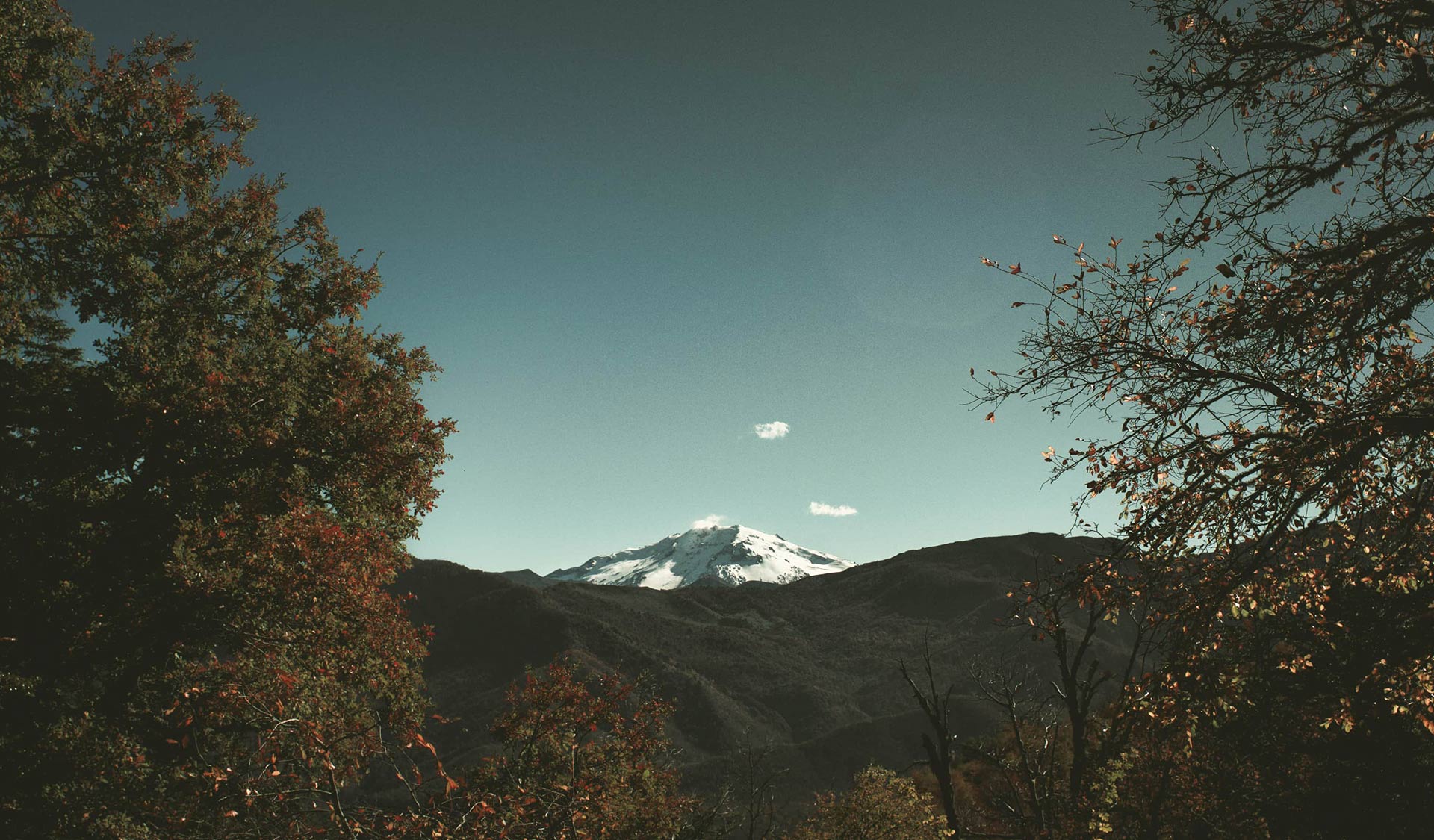 Go and Tell of Jesus