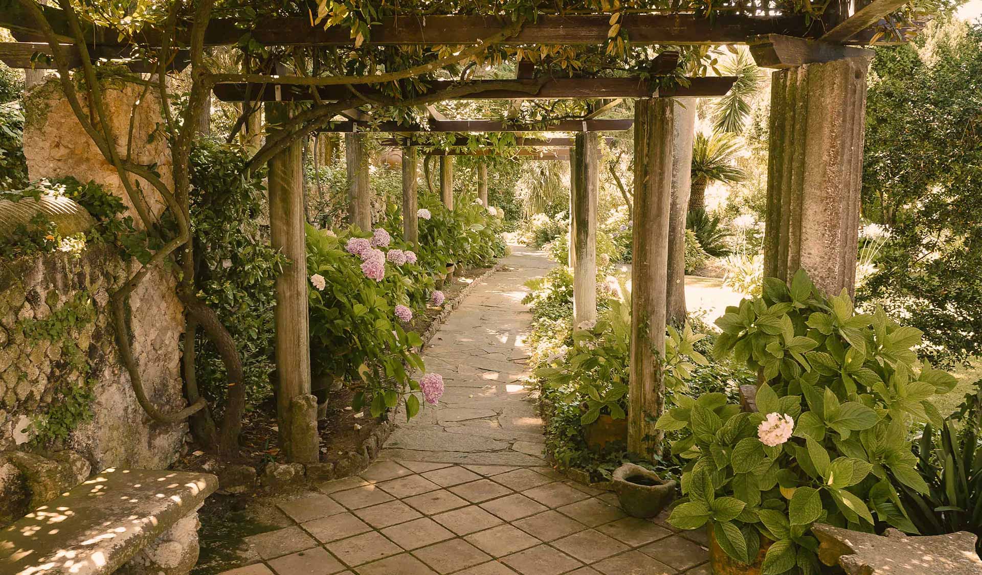 God’s Loving Deeds