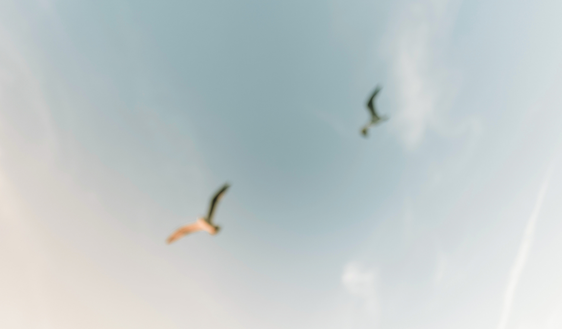 Sitting with the Suffering