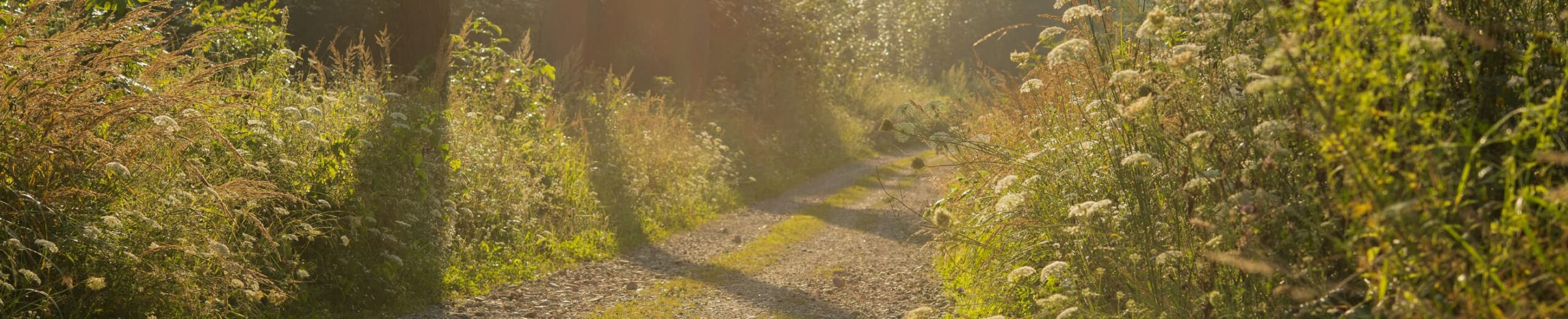 In God’s Line of Sight