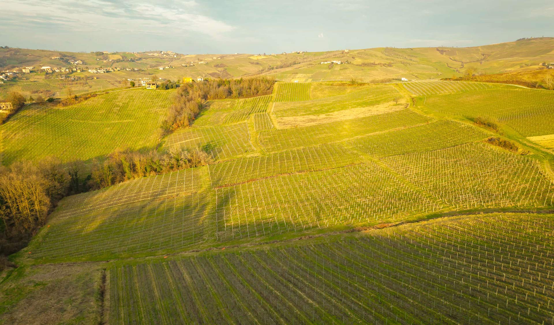 Serving God Out of Love