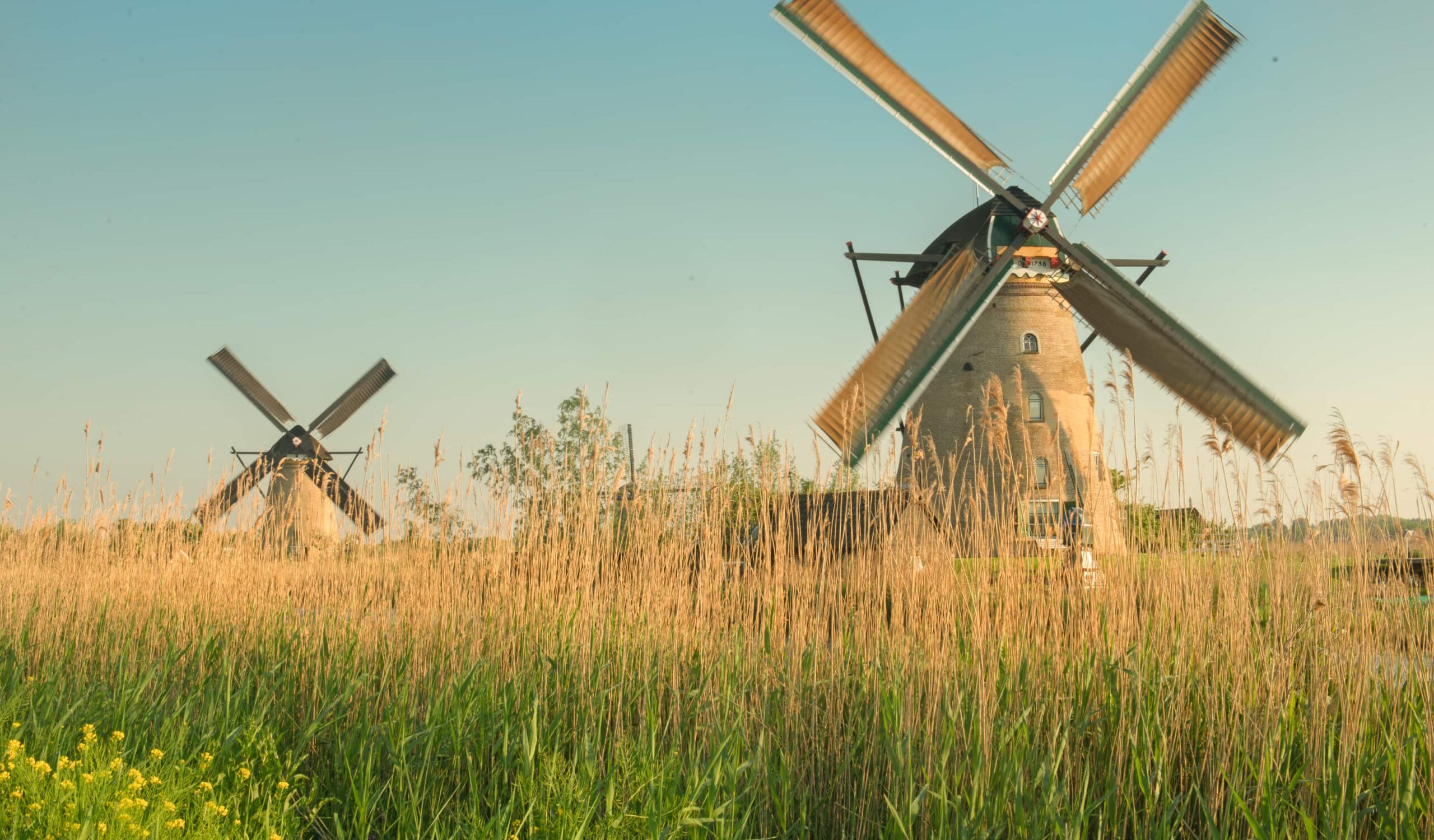 Faithful and Forgiving