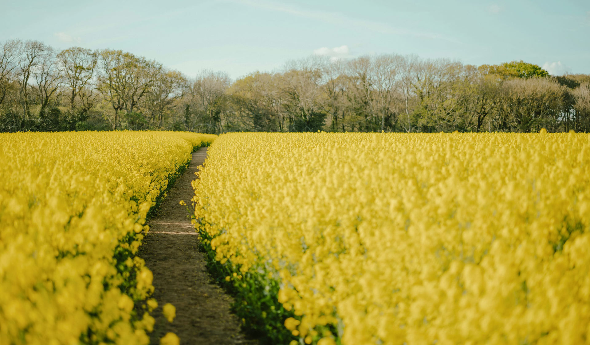 Doers of the Scriptures