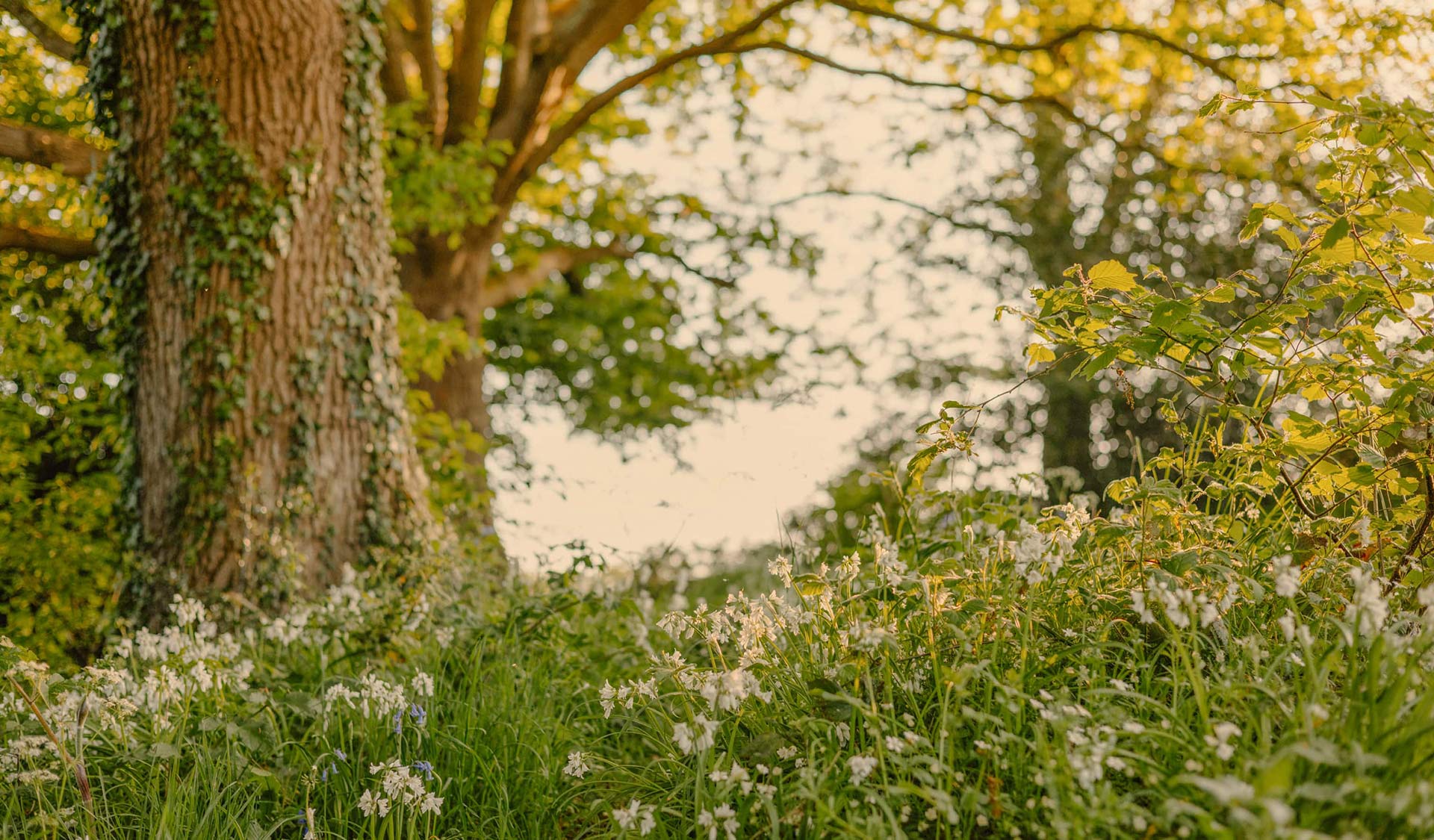 Accountability Matters