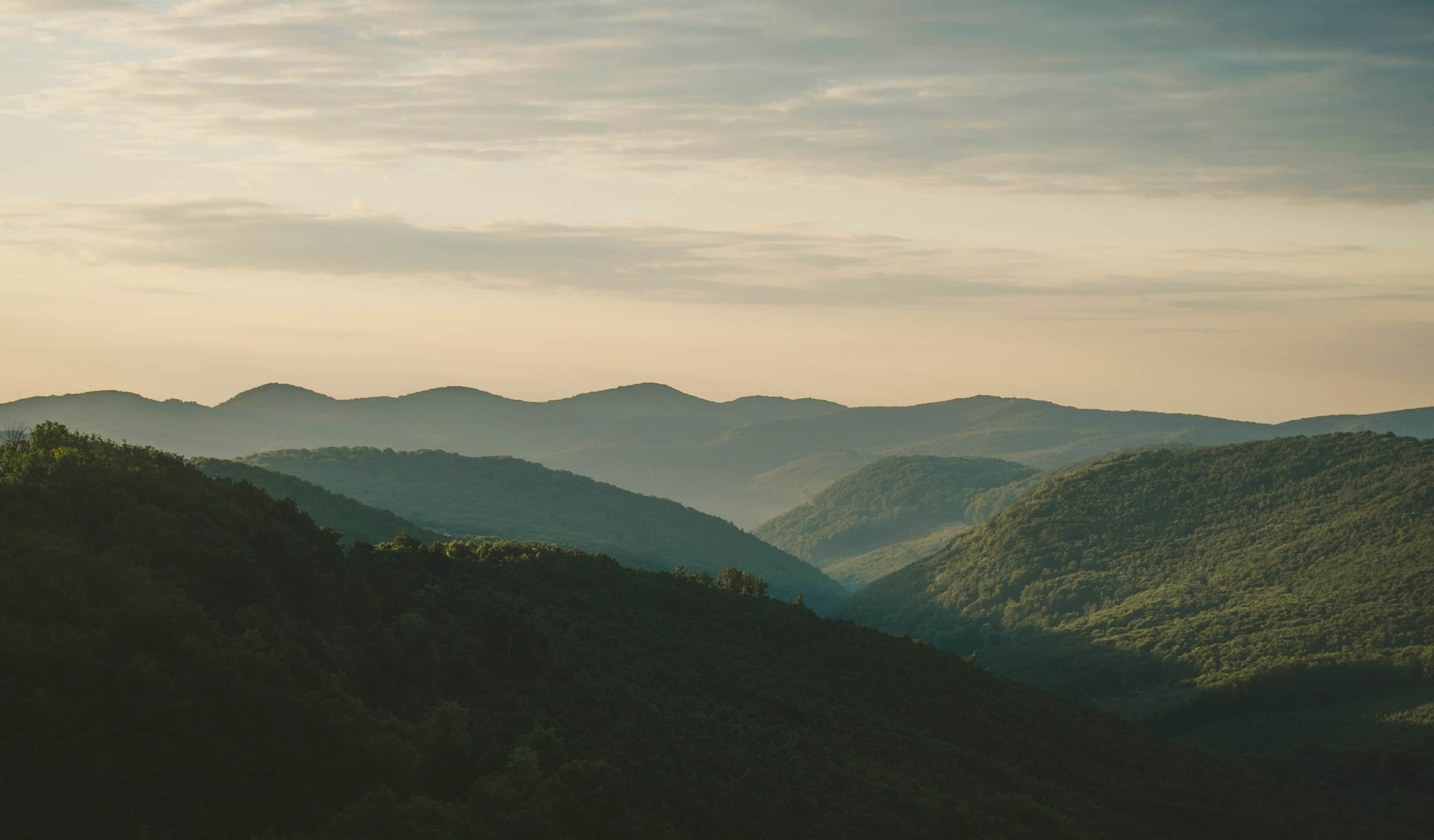 Freedom in Christ
