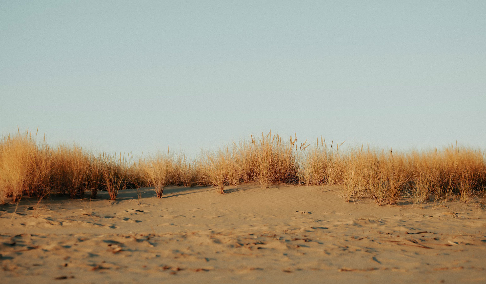 Finding Rest