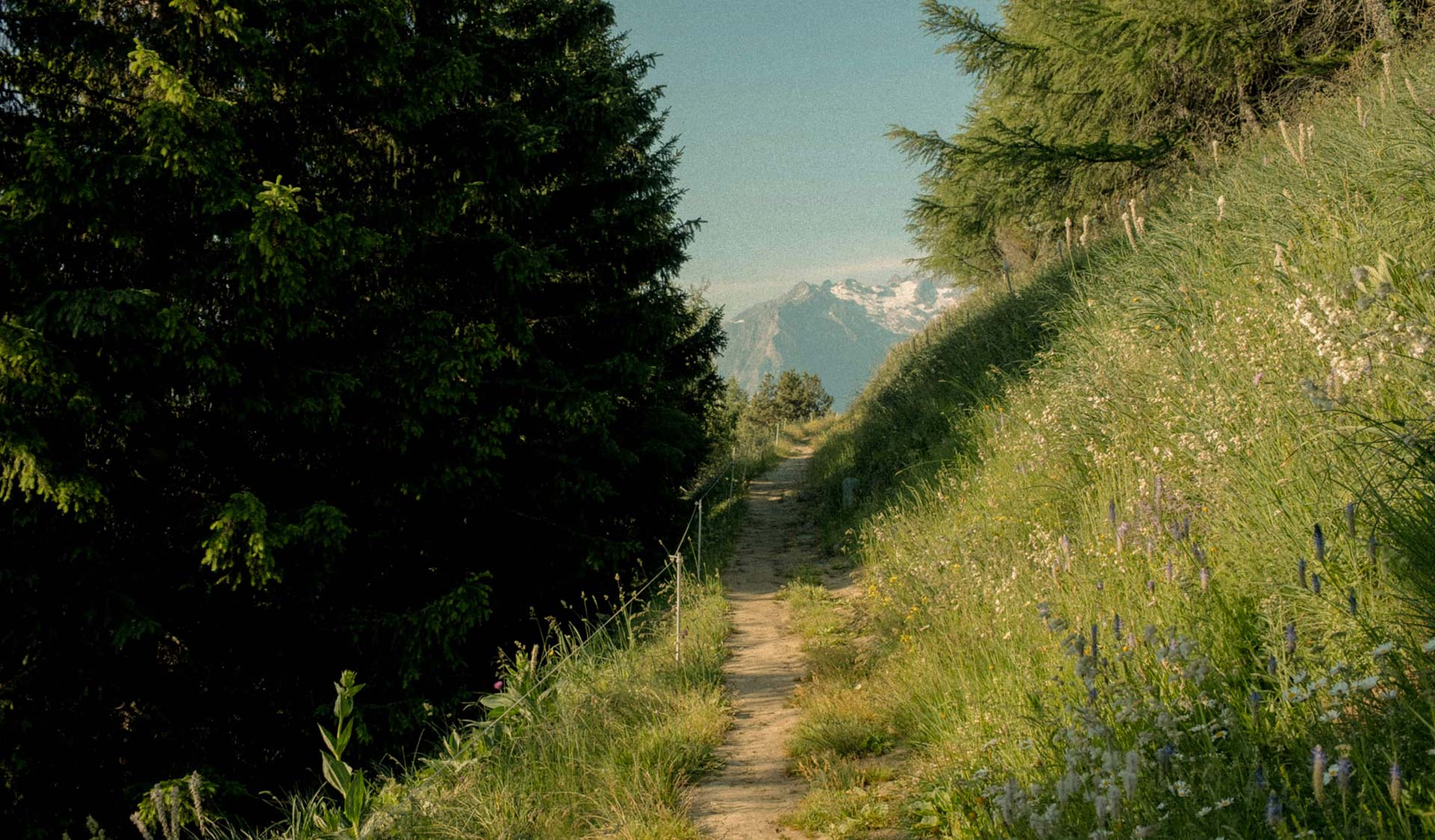 The Way of Holiness