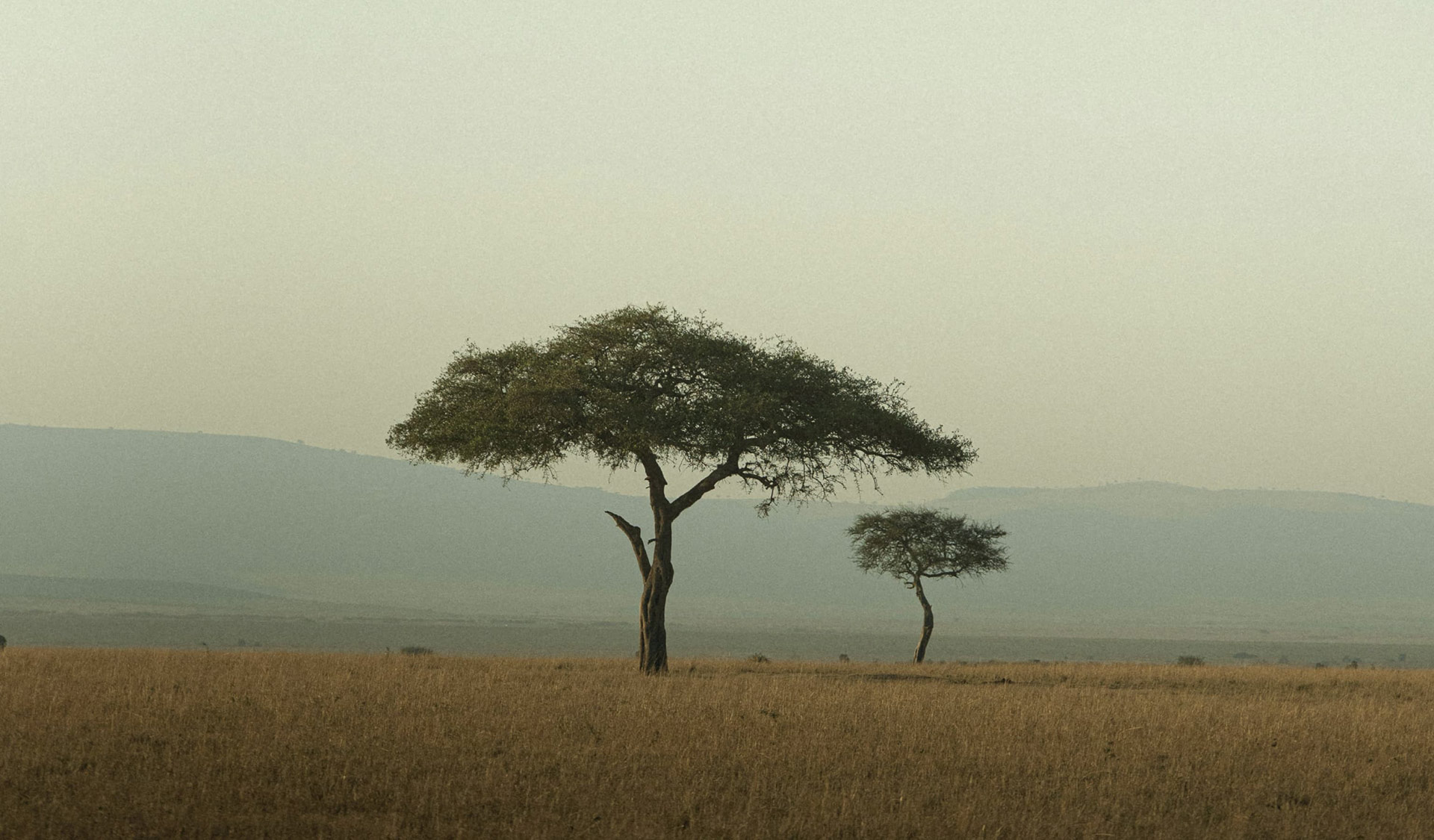 Faith Rooted in God