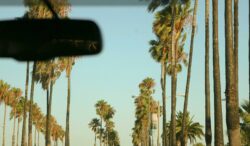 What My Rental Car Taught Me