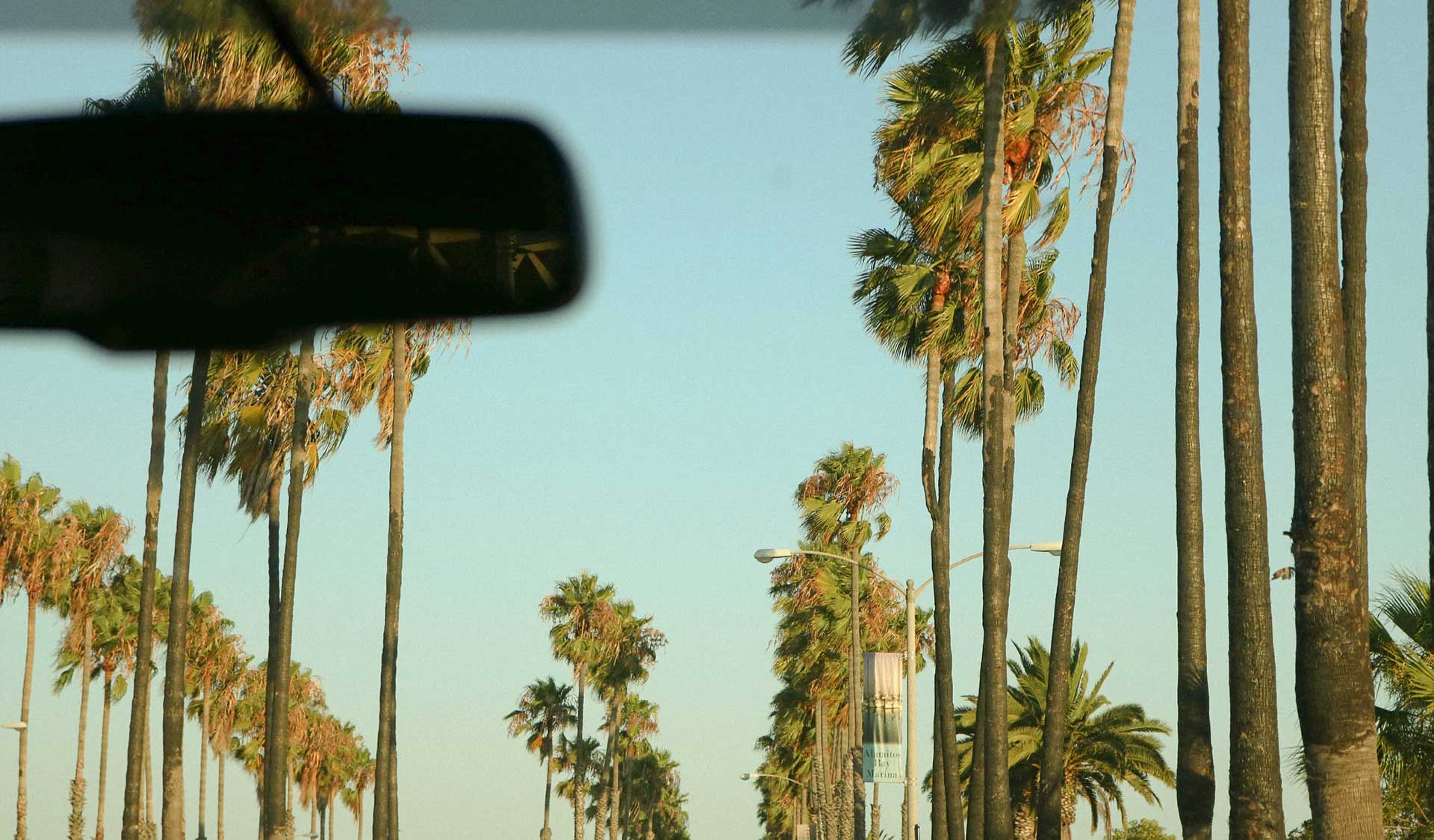 What My Rental Car Taught Me