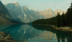 In the Stillness